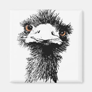 Imã Emu