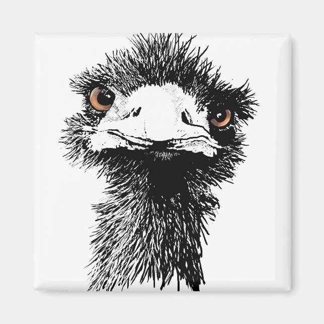 Imã Emu (Frente)