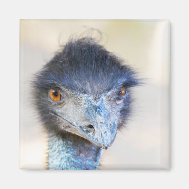 Imã Emu (Frente)