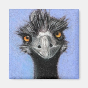 IMÃ EMU: ARTE DO LÁPIS DA COR: REALISMO