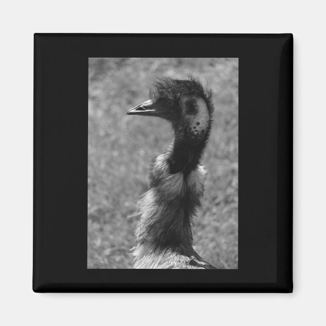 Imã Emu Nature Amplia Vinheta Vertical Preta E Branca (Frente)