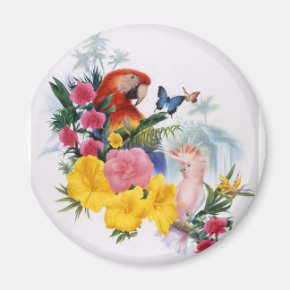 Imã Encantamento tropical