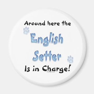 Imã Encargo do Setter Inglês - Magnet