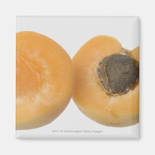 Imã Encerramento da seção transversal de uma ameixa (Frente)