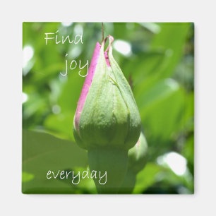 Imã Encontre a alegria diária