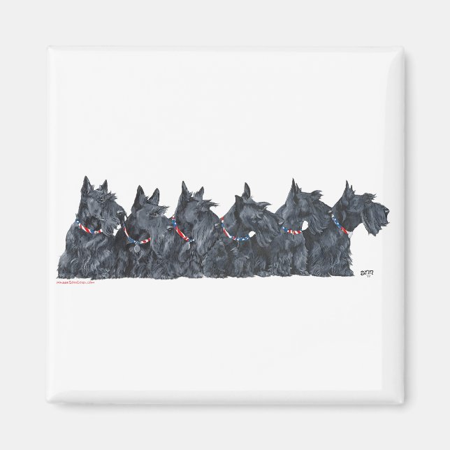 Imã Encontro de Scottish Terrier (Frente)