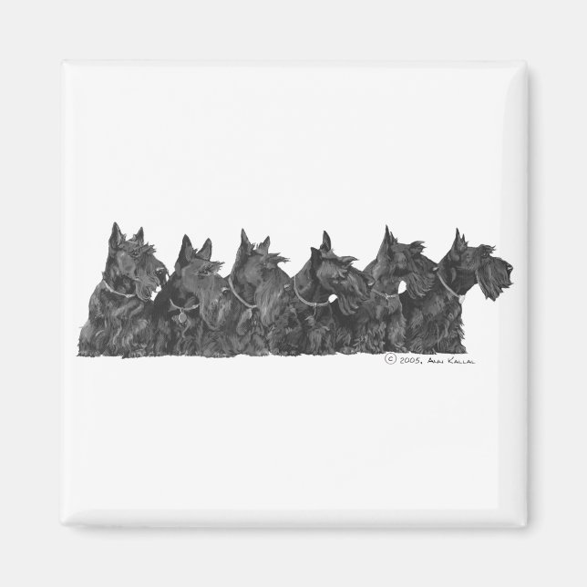 Imã Encontro de Scottish Terrier (Frente)