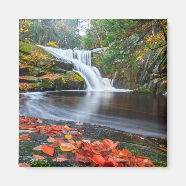 Imã Ender's Falls in Fall (Frente)