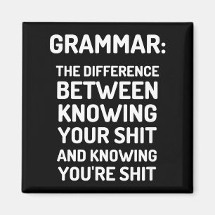 Imã Engraçada A Diferença Entre Seu E Você É