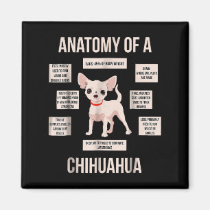 Imã Engraçada Anatomia Do Presente De Um Chihuahua