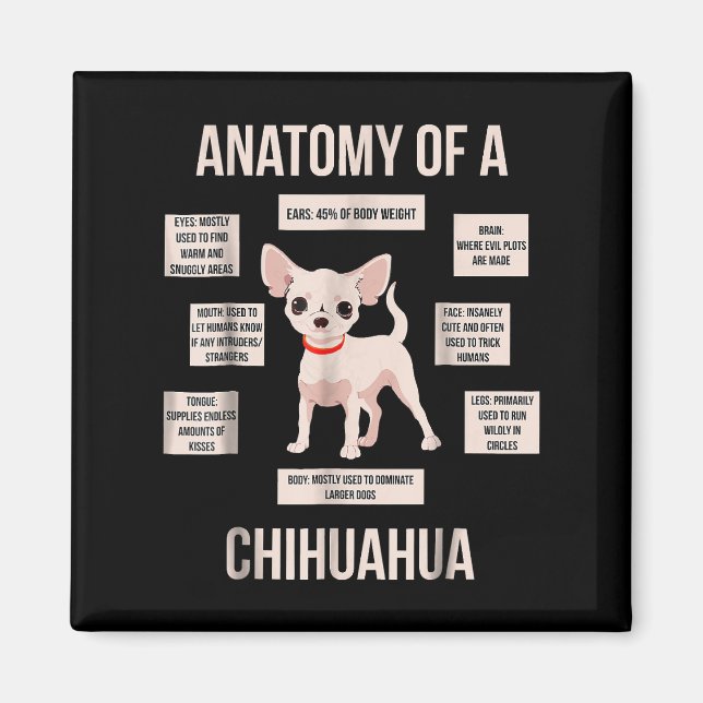 Imã Engraçada Anatomia Do Presente De Um Chihuahua (Frente)