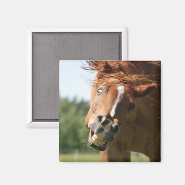 Imã Engraçada Cara de Cavalo com Lábios Enrolados, Olh (Front/Back)