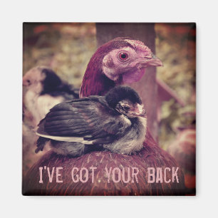 Imã Engraçada Mãe Hen e Pintinho