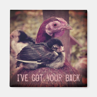 Imã Engraçada Mãe Hen e Pintinho