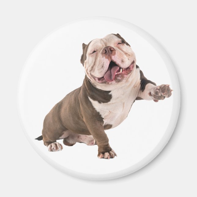 Imã Engraçado Bulldog Americano Torrão Adora Cachorro (Frente)