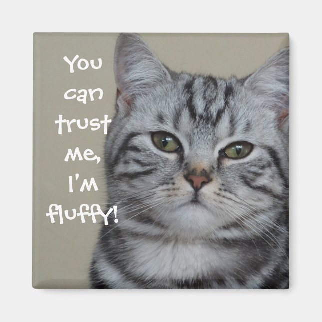 Imã Engraçado Capção de Gato Confie em mim. (Frente)