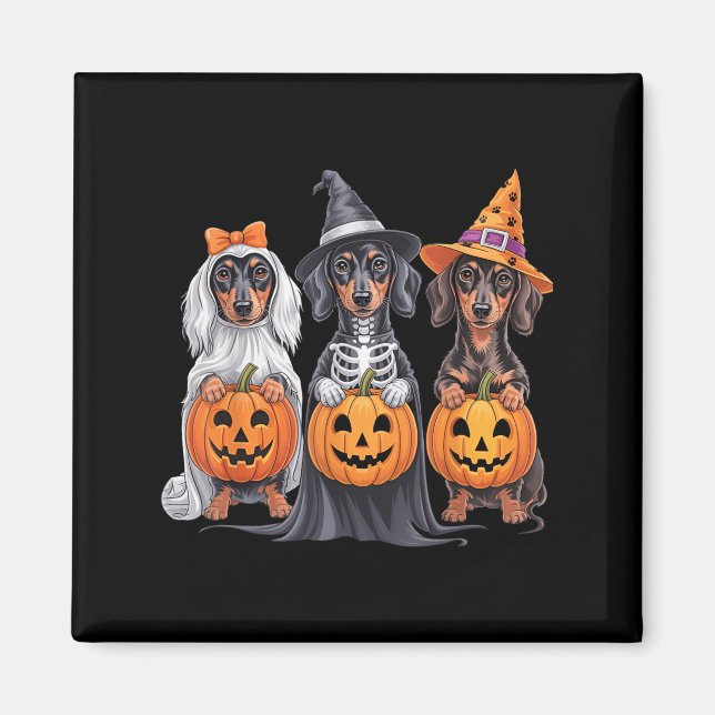 Imã Engraçado Dachshund Halloween Pumpkin Weenie Cog S (Frente)
