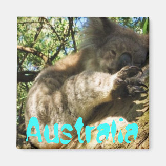 Imã Engraçado design de ímã koala australiano