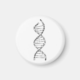 Imã Engraçado DNA ciclando Bicicleta Corrente Montanha