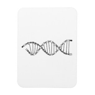 Ímã Engraçado DNA ciclando Bicicleta Corrente Montanha