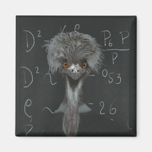 Imã Engraçado Emu Einstein