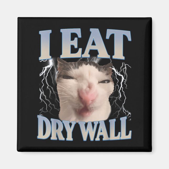 Imã Engraçado Eu Como Parede Seca Silly Cat Meme Homen (Frente)