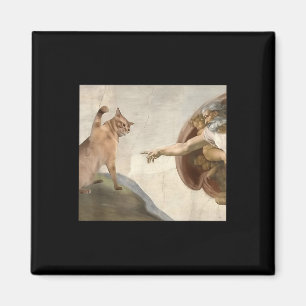 Imã Engraçado Gato Criação De Adão Meme Jesus