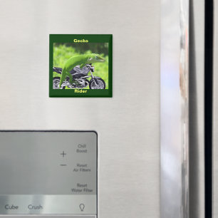 Imã Engraçado Gecko Rider Magnet Verde Havaiano