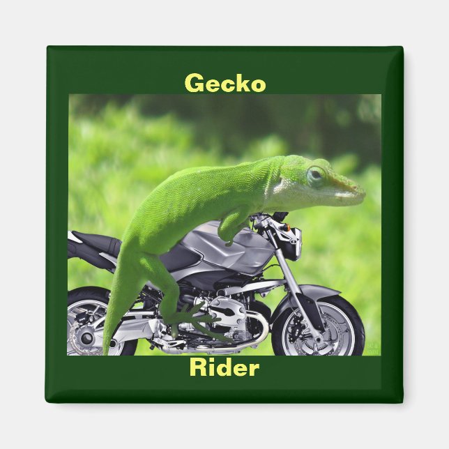Imã Engraçado Gecko Rider Magnet Verde Havaiano (Frente)