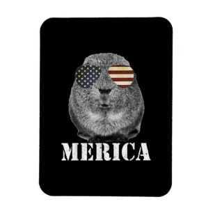 Ímã Engraçado Guiné Pig Merica Óculos de Bandeira Patr