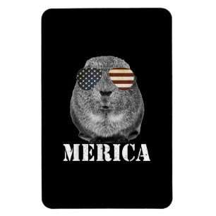 Ímã Engraçado Guiné Pig Merica Óculos de Bandeira Patr