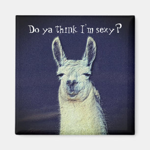 Imã Engraçado Llama Face Animal