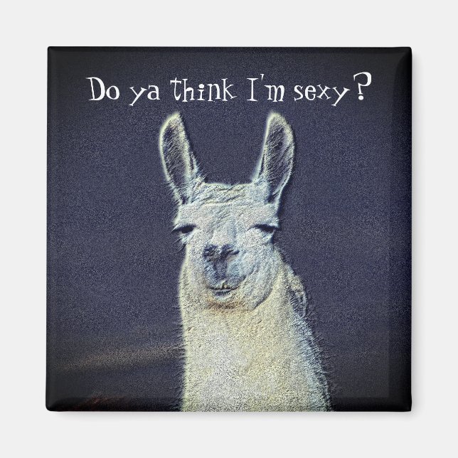 Imã Engraçado Llama Face Animal  (Frente)