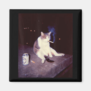 Imã Engraçado Memória Fumante Cigarro Kitten Brainrot 