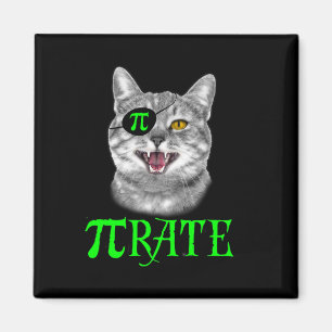 Imã Engraçado Pi Day Math Science Pirata