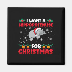 Imã Engraçado Professor de Matemática de Natal Hippopo
