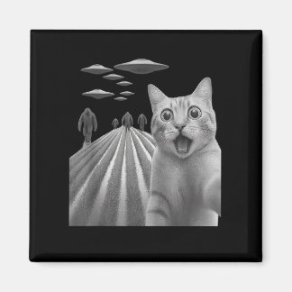 Imã Engraçado Surpreendido Gato Assustado Selfie Com P