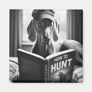 Imã Engraçado Weimaraner lendo um livro sobre como caç