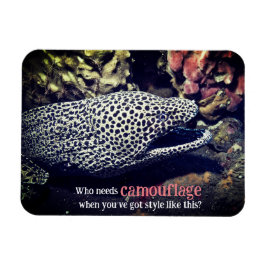 Ímã Enguia-de-porco-espada submarina