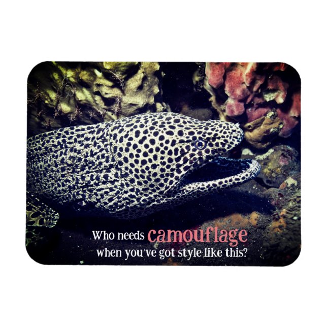 Ímã Enguia-de-porco-espada submarina (Horizontal)