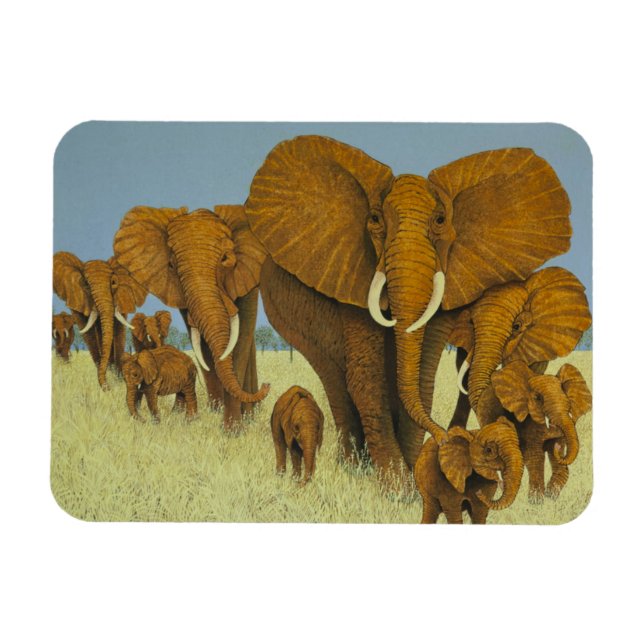 Ímã Enorme, mas cuidando (Horizontal)