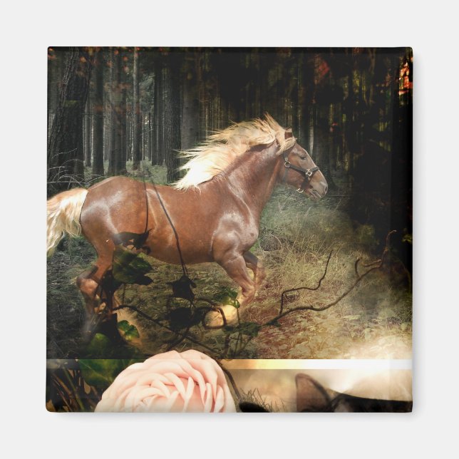 Imã Enraizado no Amor de Deus (Frente)