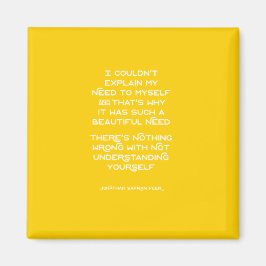 Imã Entendendo seu próprio ímã