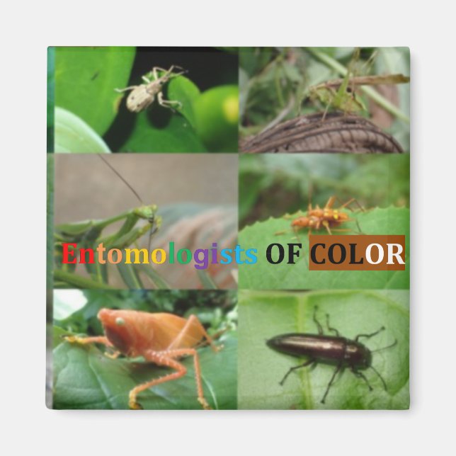 Imã Entomologistas de Cores (Frente)