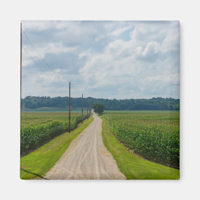 Imã Entre Campos De Milho (Frente)