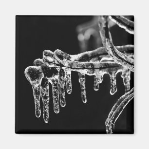Imã entre no inverno gelado