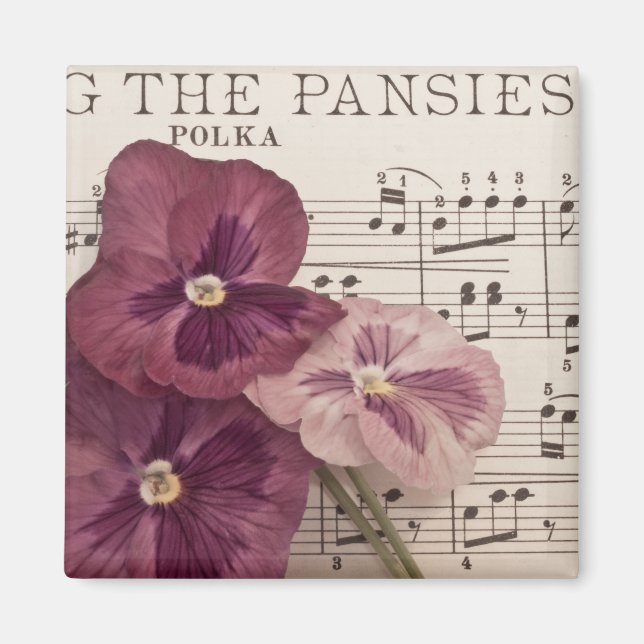 Imã Entre Os Painéis (Frente)