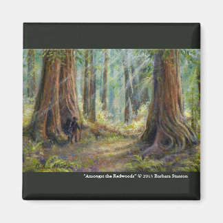 Imã “Entre os Redwoods”
