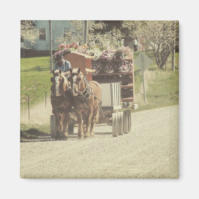 Imã Entrega de Flor (Frente)