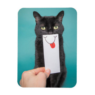 Ímã Enviando um Gato Engraçado de Sorriso com Desenho